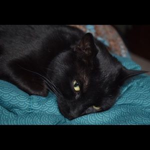 Meet your Posher, Stephanie